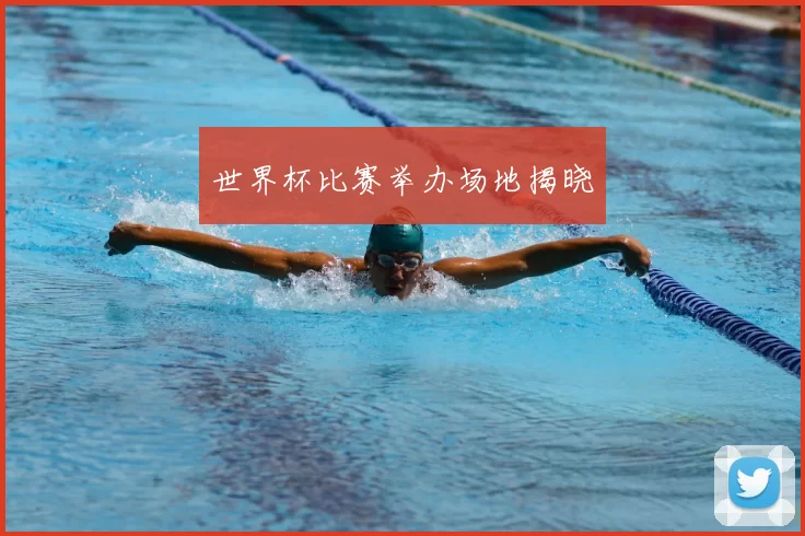 世界杯比赛举办场地揭晓