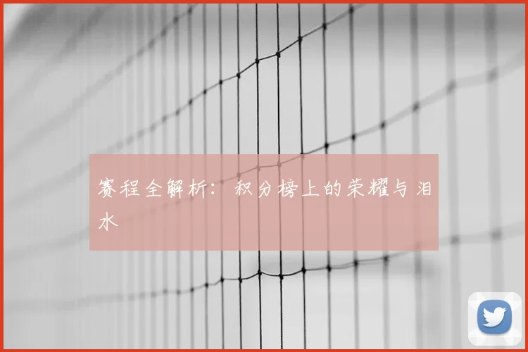 赛程全解析：积分榜上的荣耀与泪水