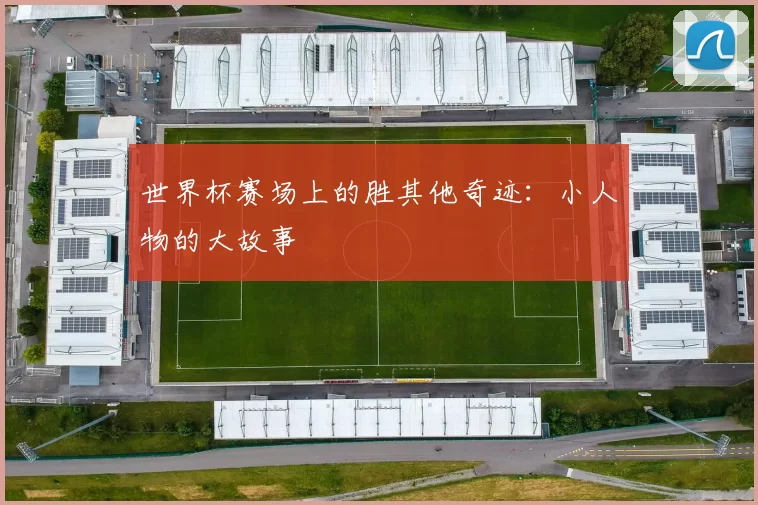 世界杯赛场上的胜其他奇迹：小人物的大故事