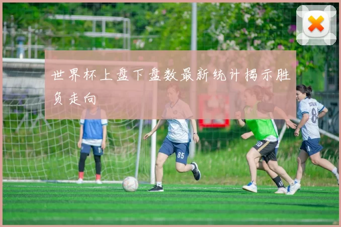 世界杯上盘下盘数最新统计揭示胜负走向