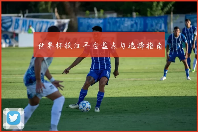 世界杯投注平台盘点与选择指南