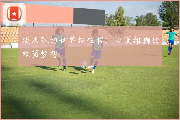 埃及队的世界杯征程:沙漠雄狮的绿茵梦想