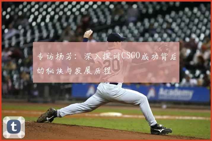 专访杨芳：深入探讨CSGO成功背后的秘诀与发展历程