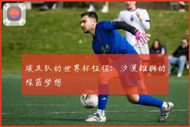 埃及队的世界杯征程:沙漠雄狮的绿茵梦想