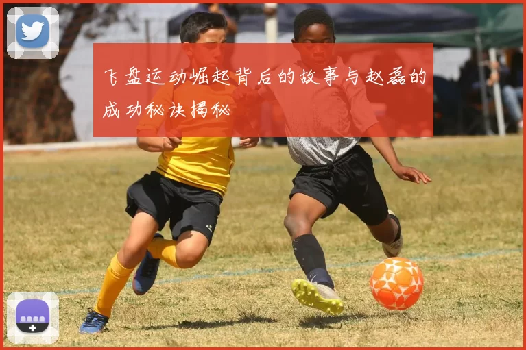 飞盘运动崛起背后的故事与赵磊的成功秘诀揭秘